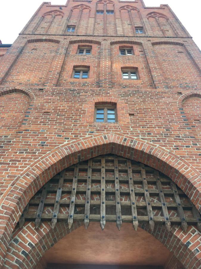 Zuzia * Olsztyn (Warmian-Masurian)